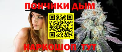 шишки Изобильный
