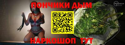 шишки Изобильный