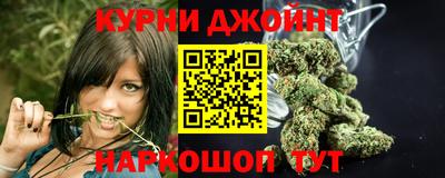 шишки Изобильный