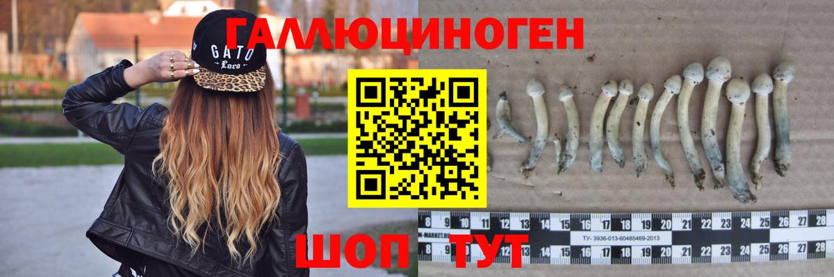Кемерово  Псилоцибиновые грибы Magic Shrooms  Вход с VPN 